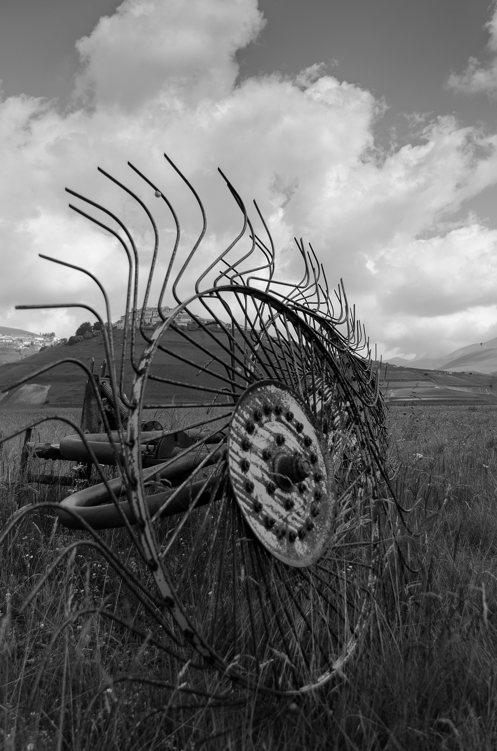 Ruota Rastrello - Castelluccio (sono accettate le criti
