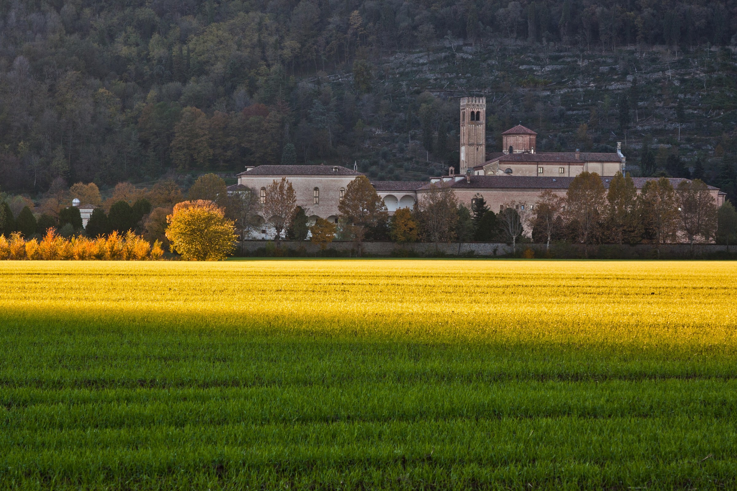 Abbey of Praglia (pd)