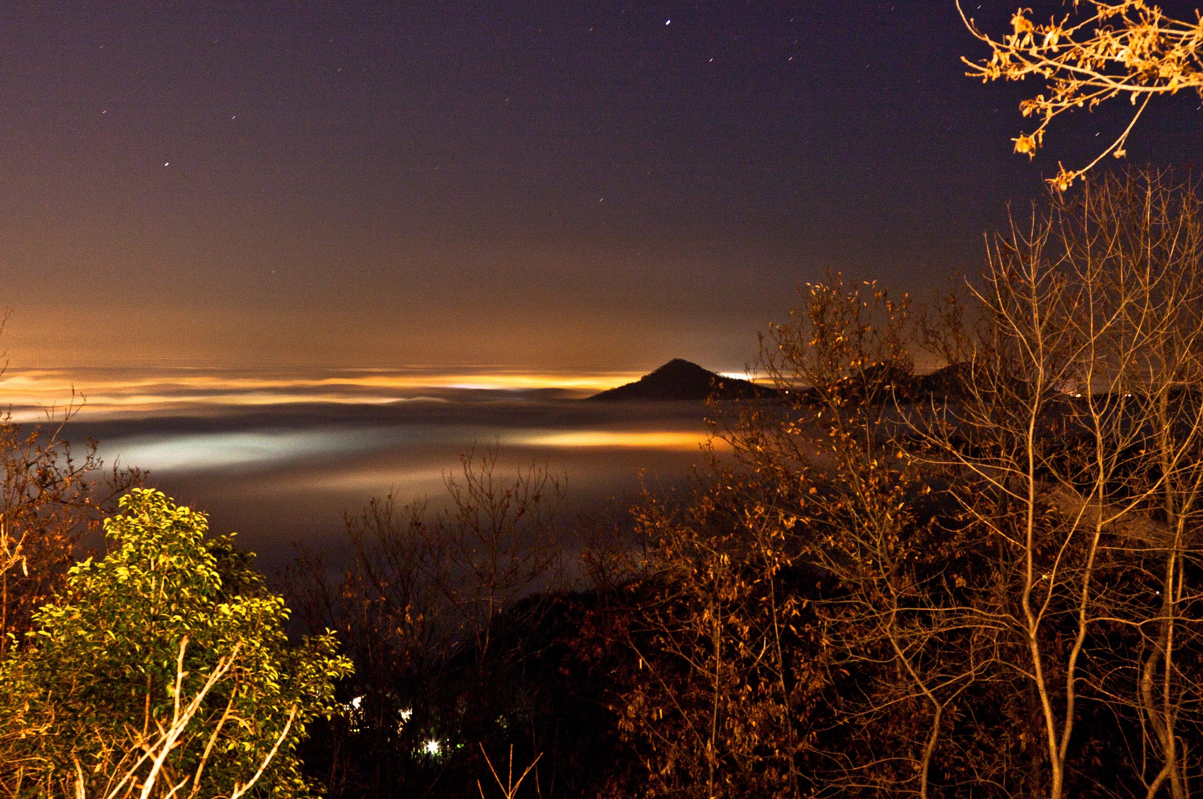 Nebbia sulla pianura
