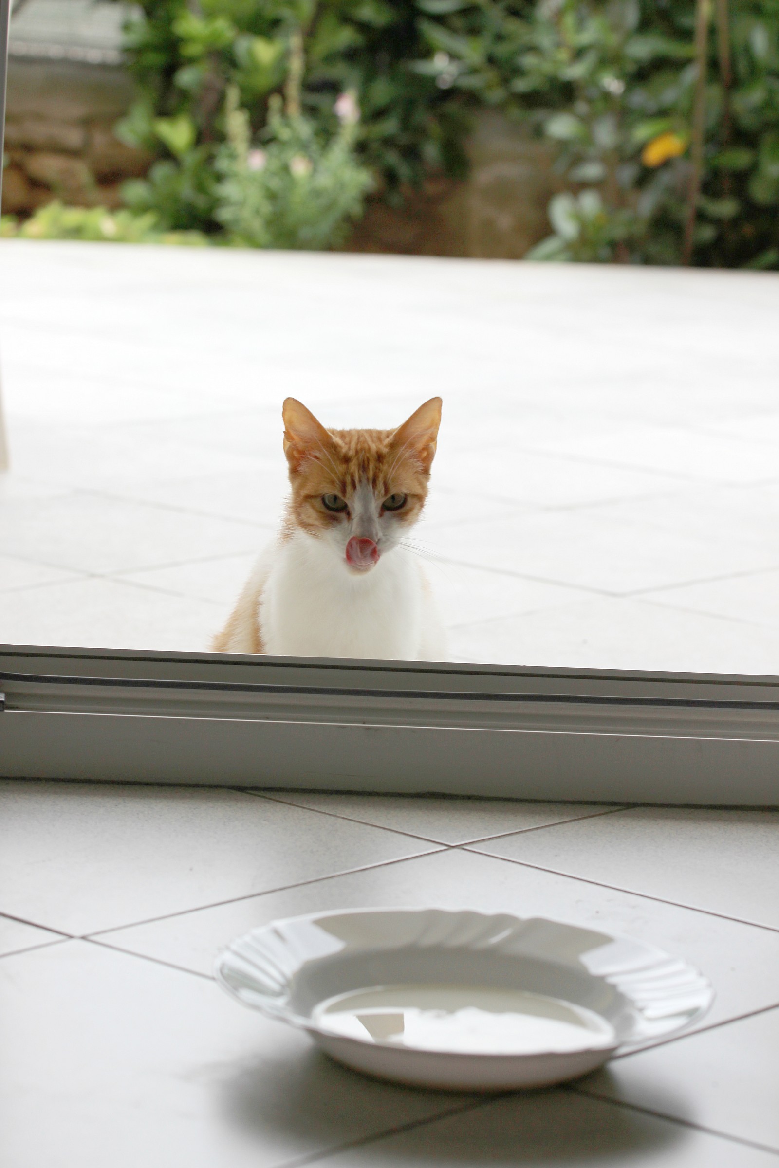 Gnam gnam... che fame!