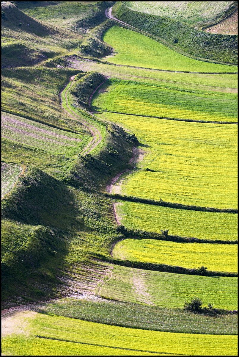 Piana di Castelluccio