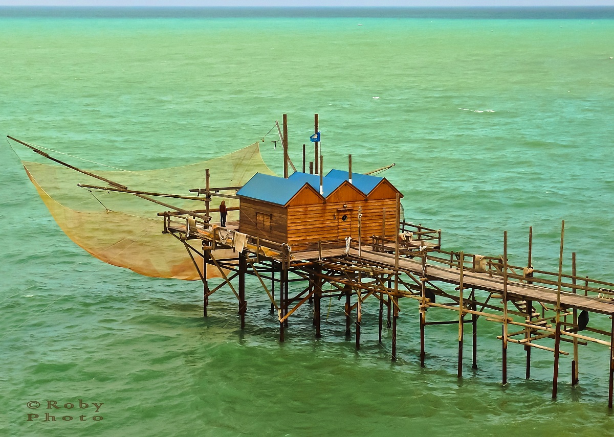 Little fish in a net