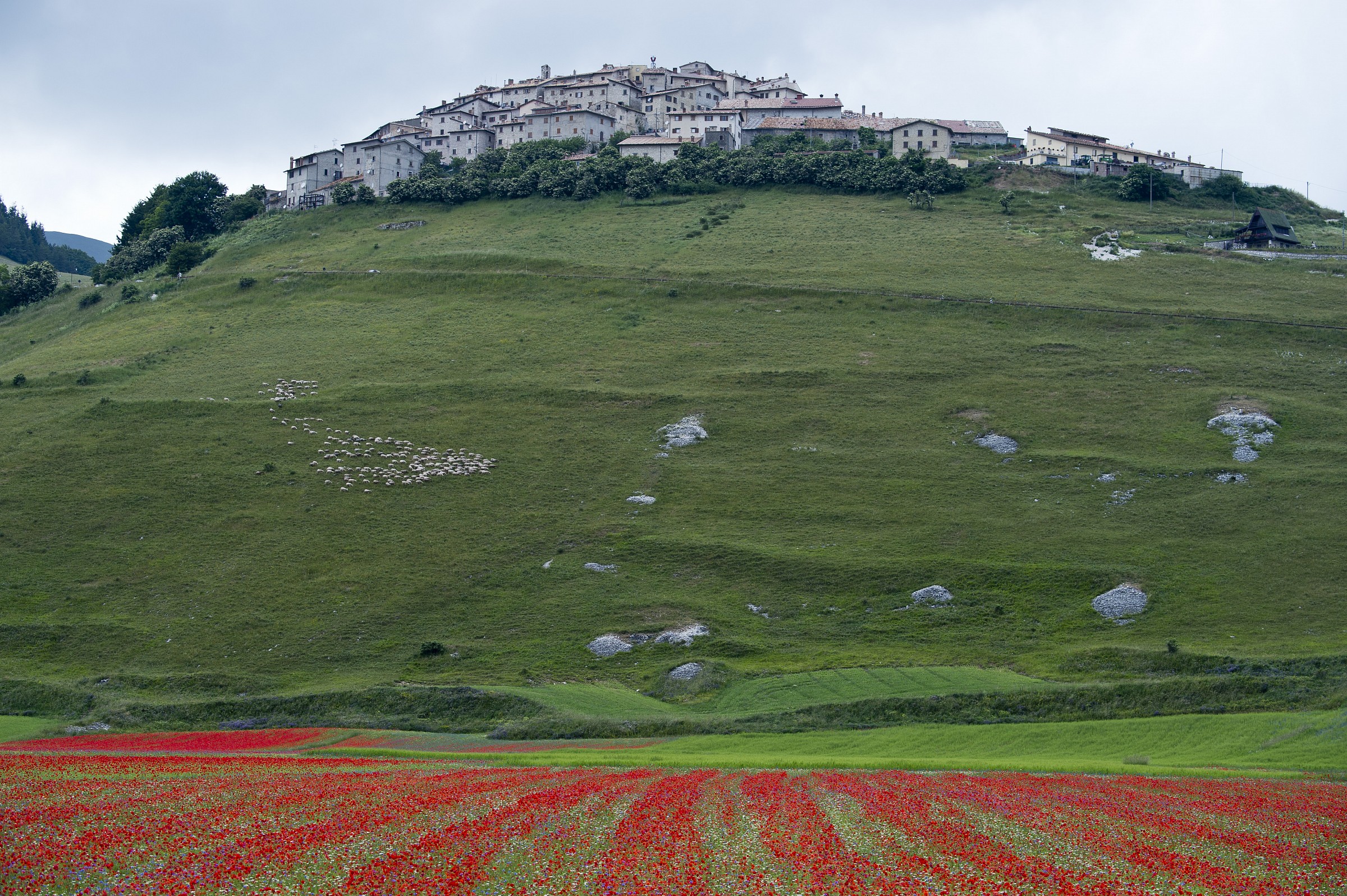 Our Castelluccio