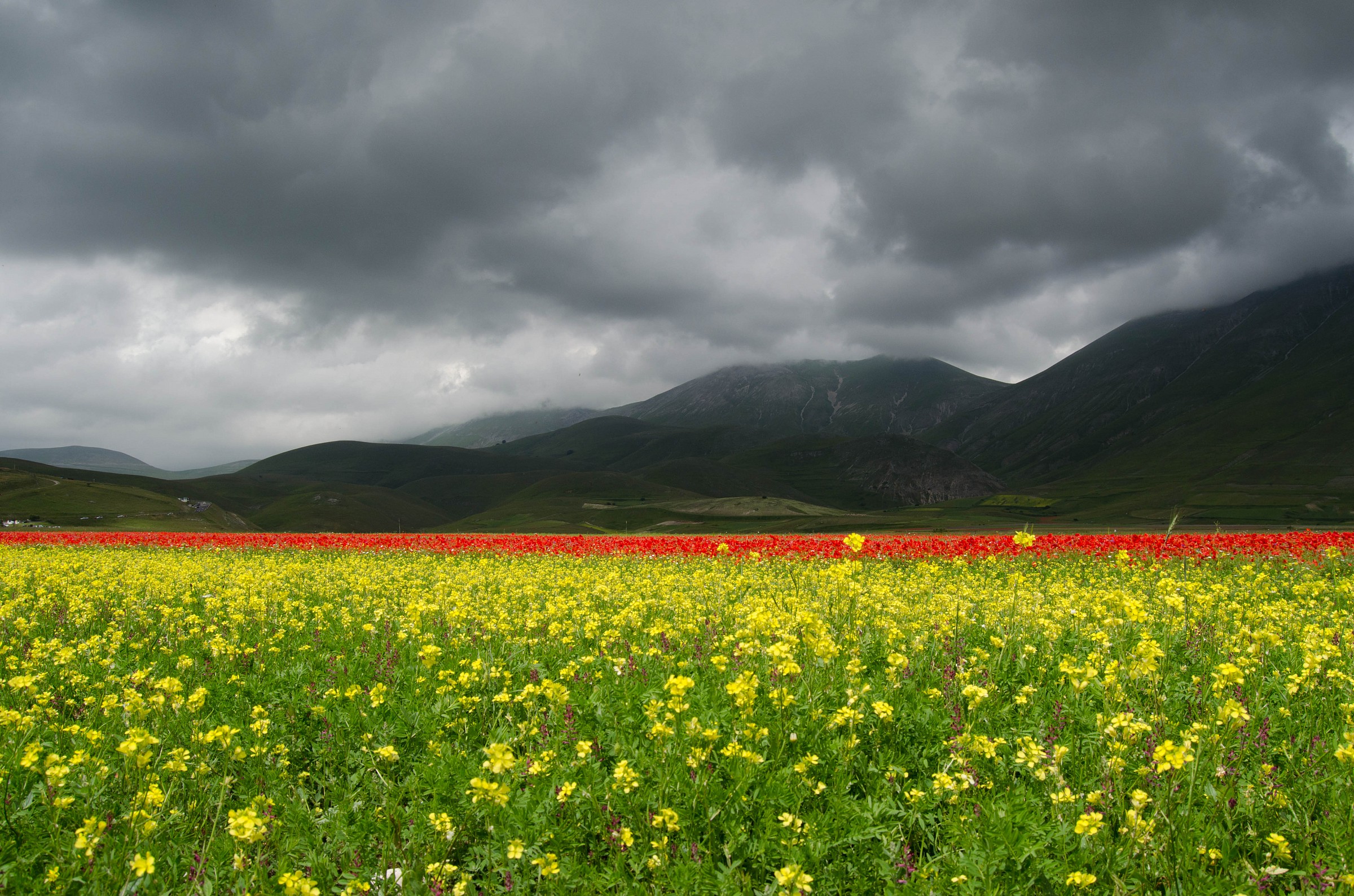 La Piana di Castelluccio