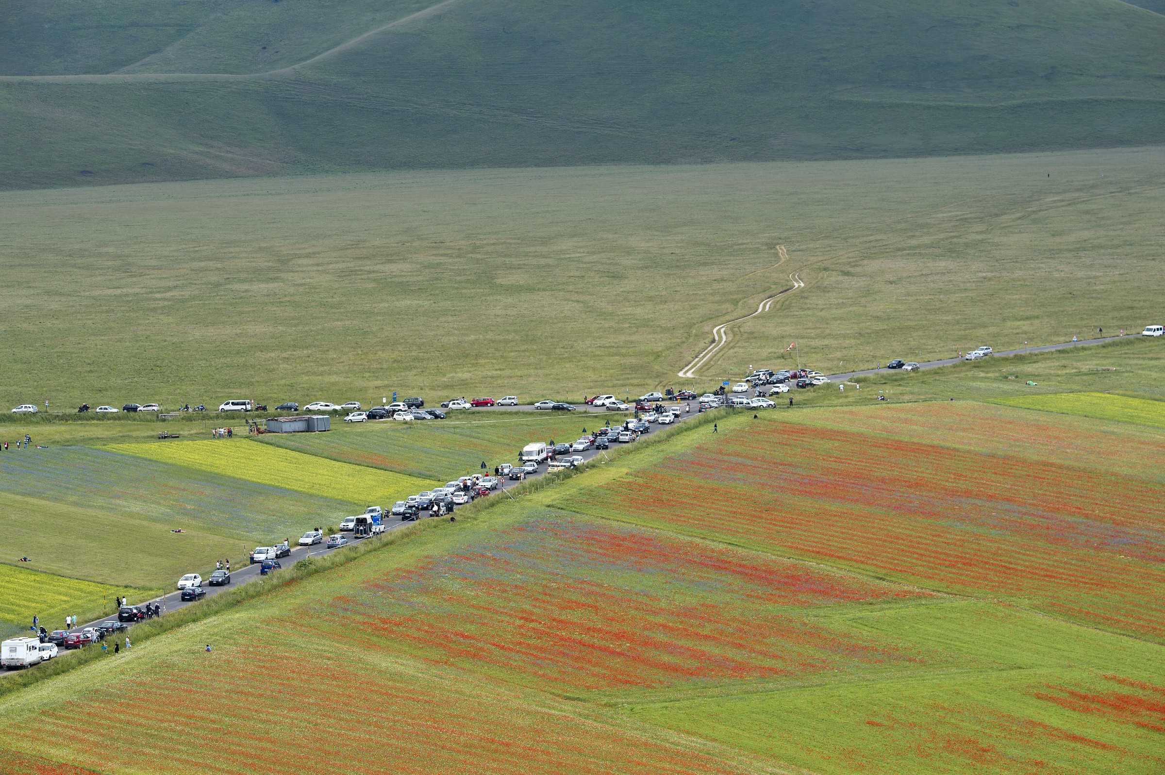 Incrocio affollato???