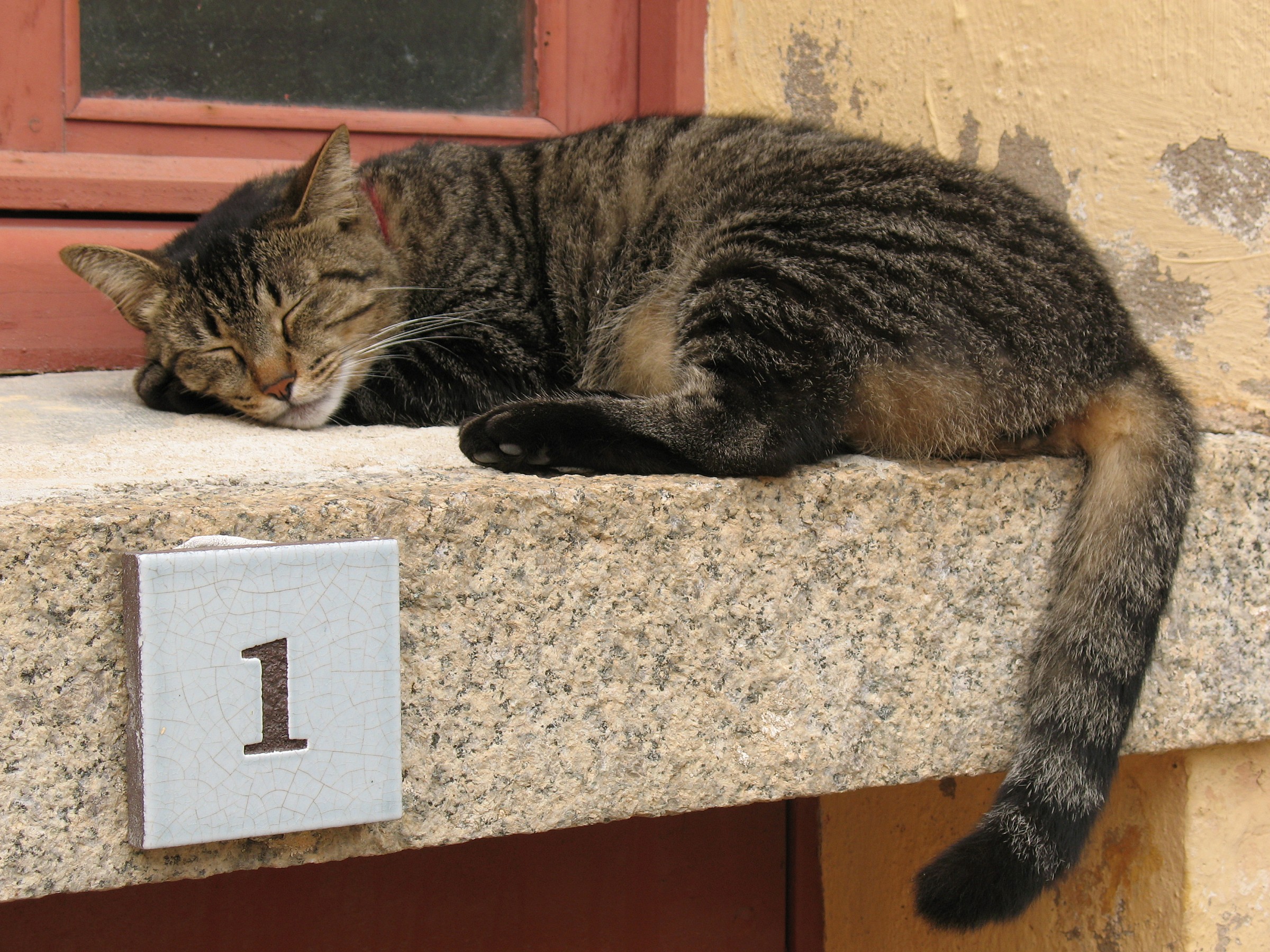 Riposino pomeridiano