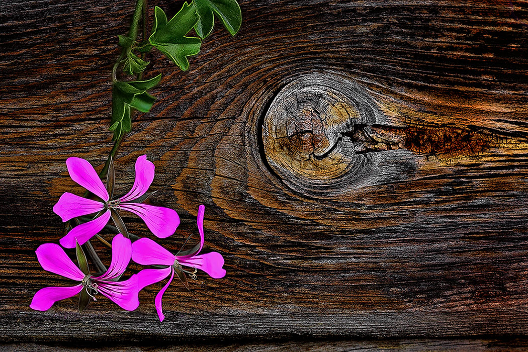 Insieme in una vecchia casa alpina