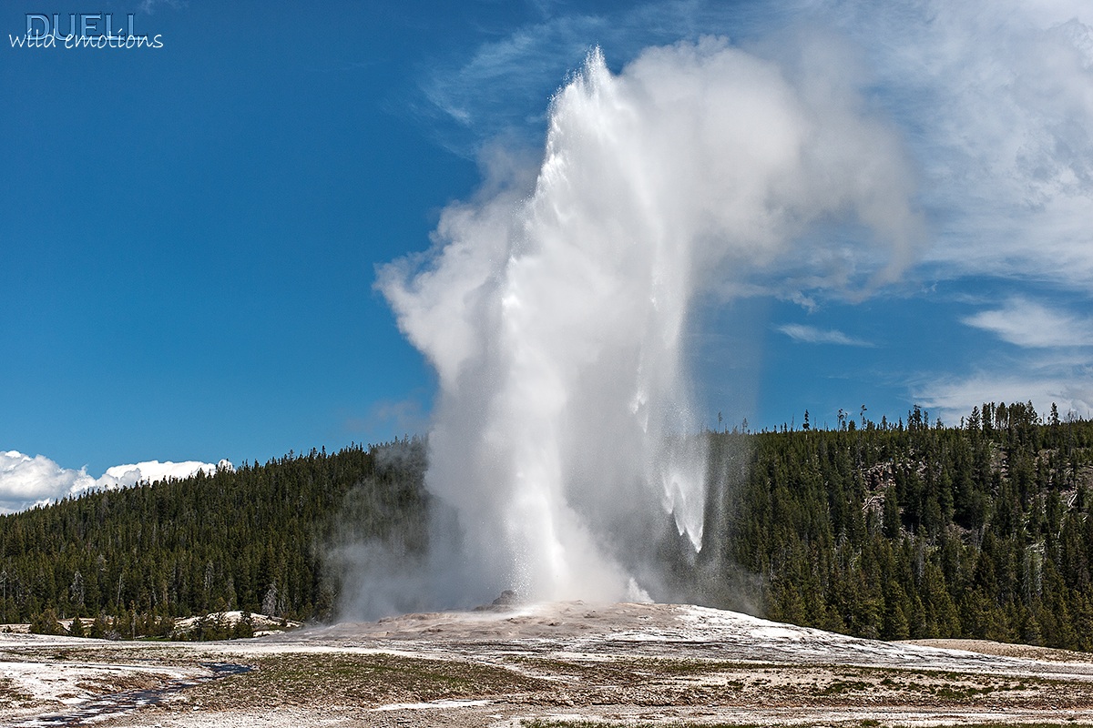 Old Faithful