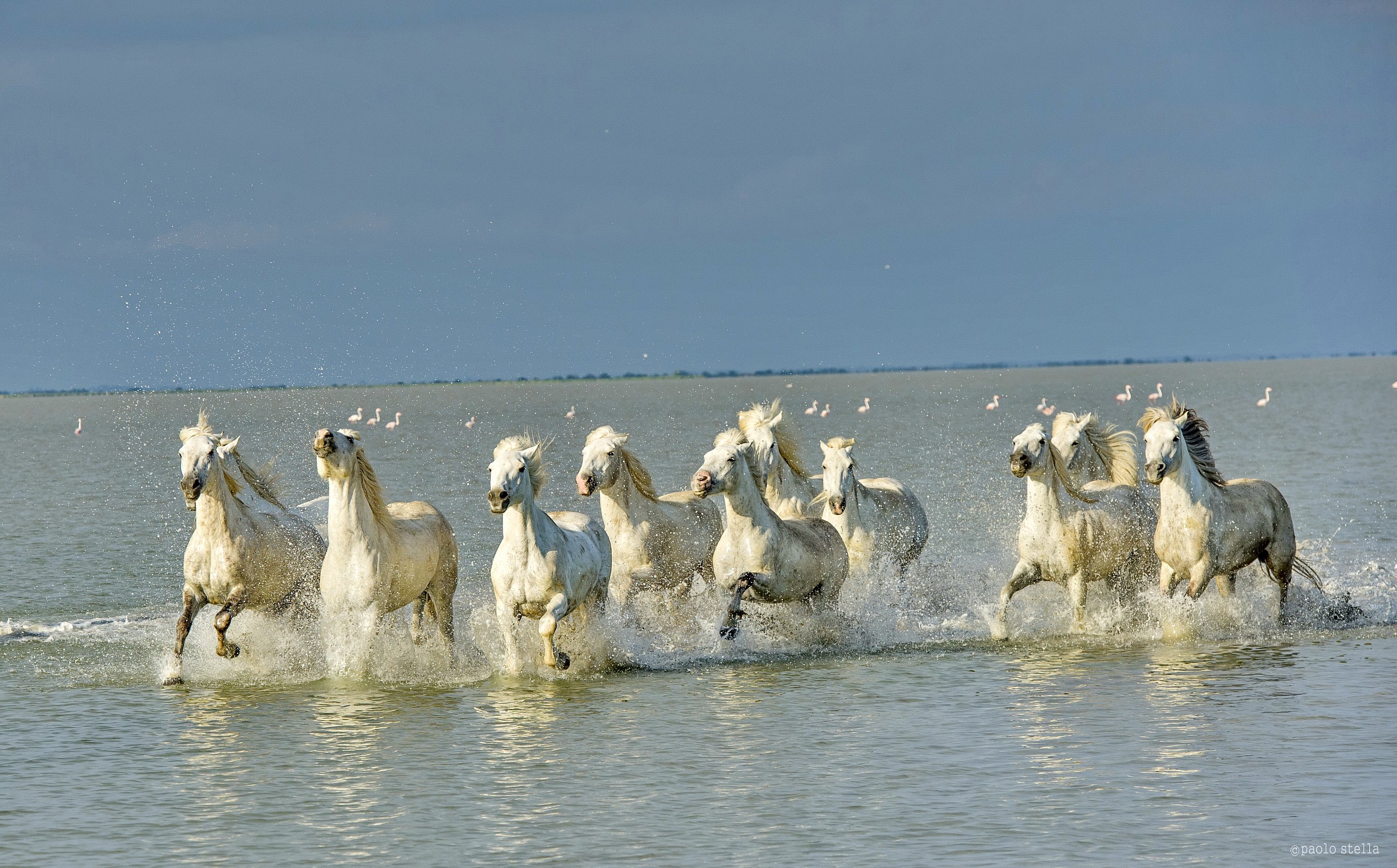 The ride on the shoreline