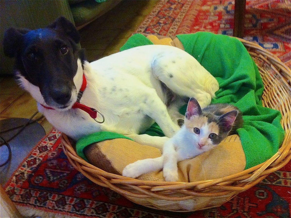 Possibili convivenze