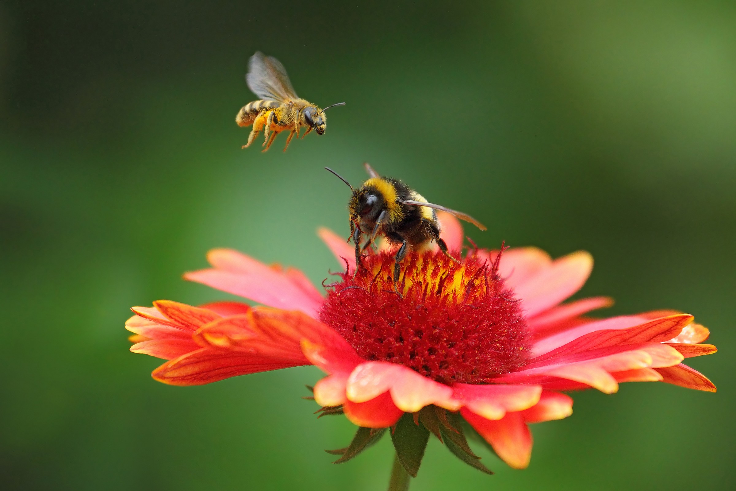 Atterraggio impossibile