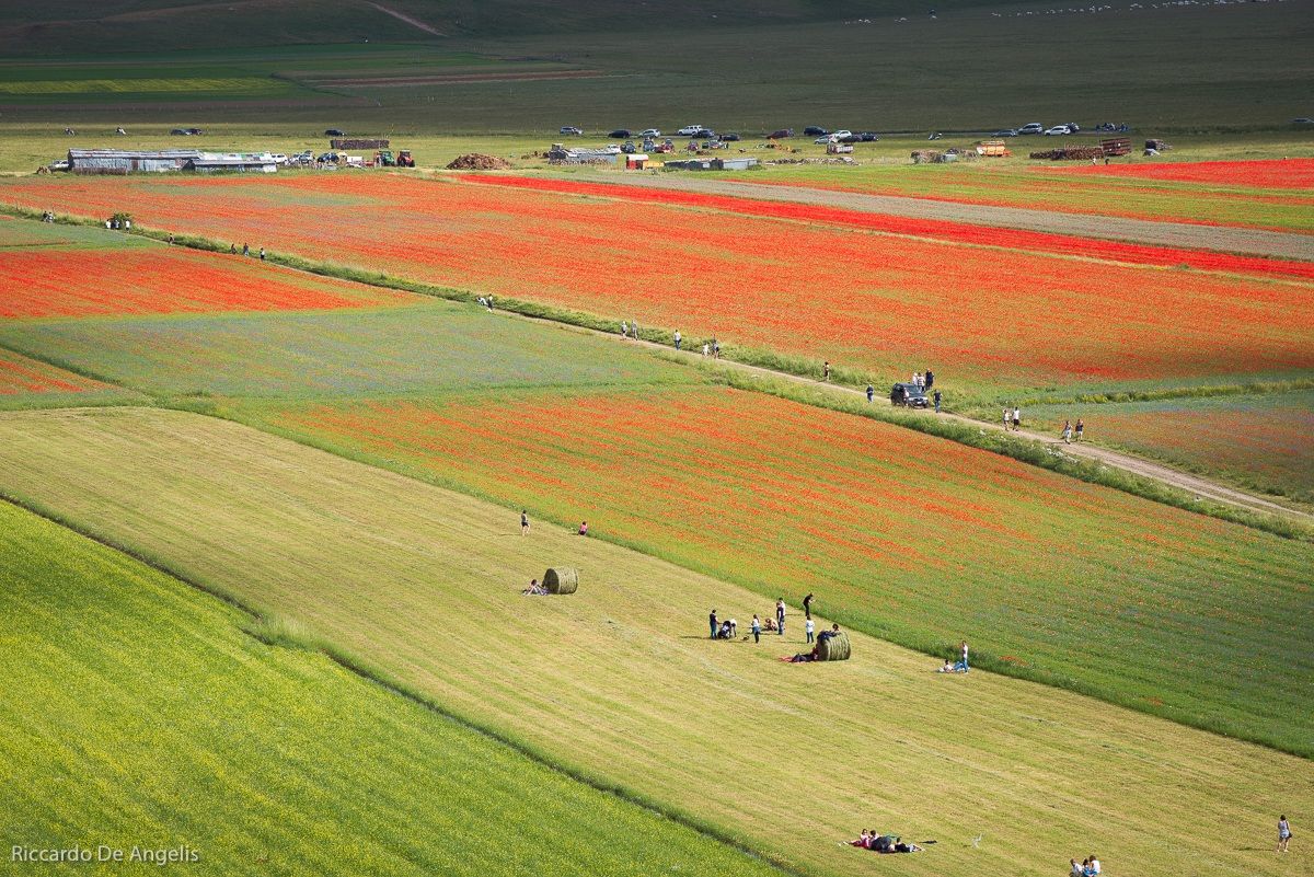 Castelluccio