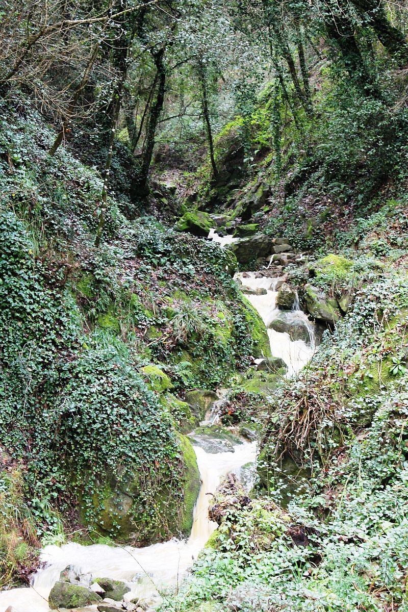 ....chiare, fresche, dolci acque!!!