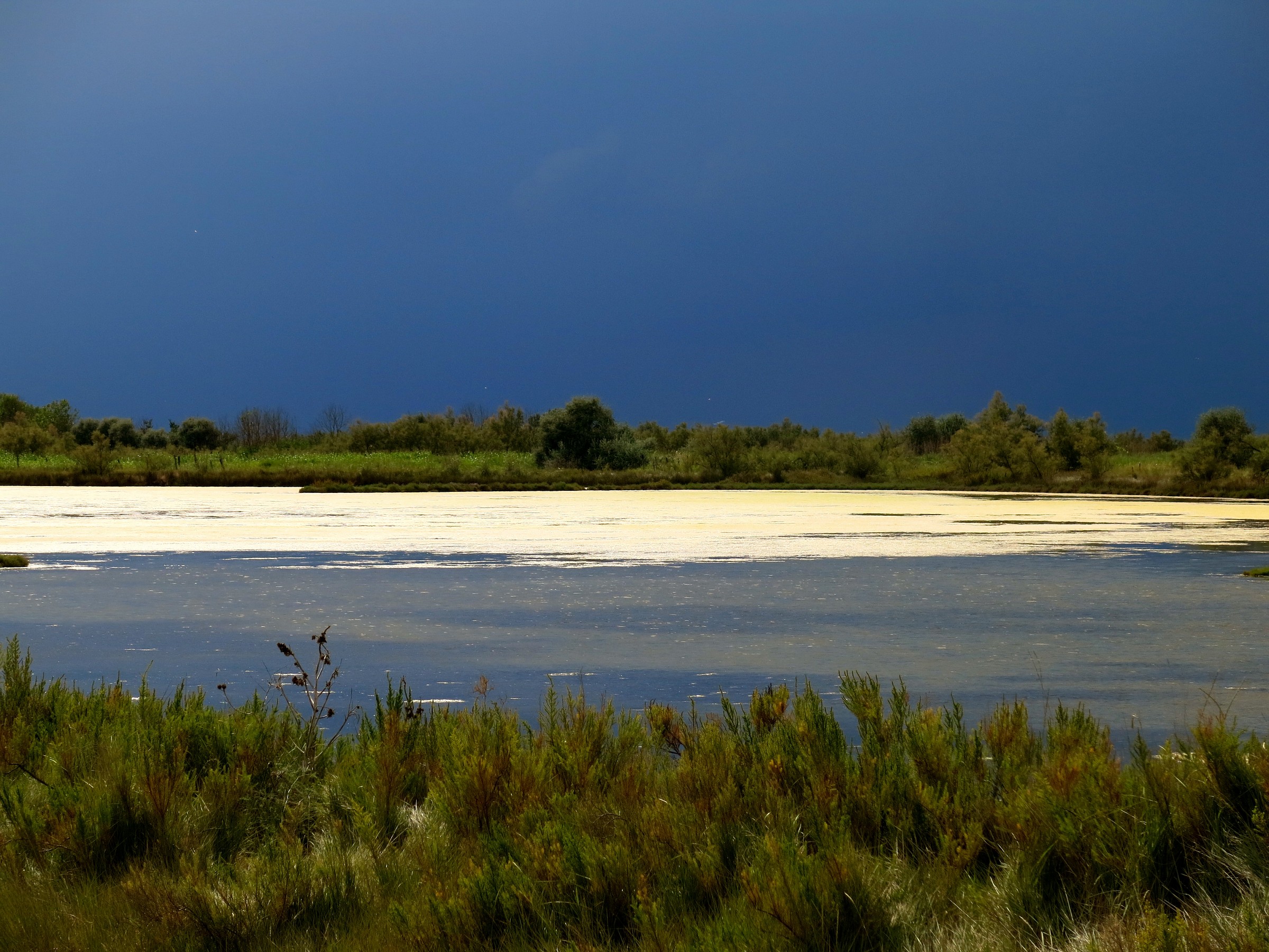 barena a LIo Piccolo