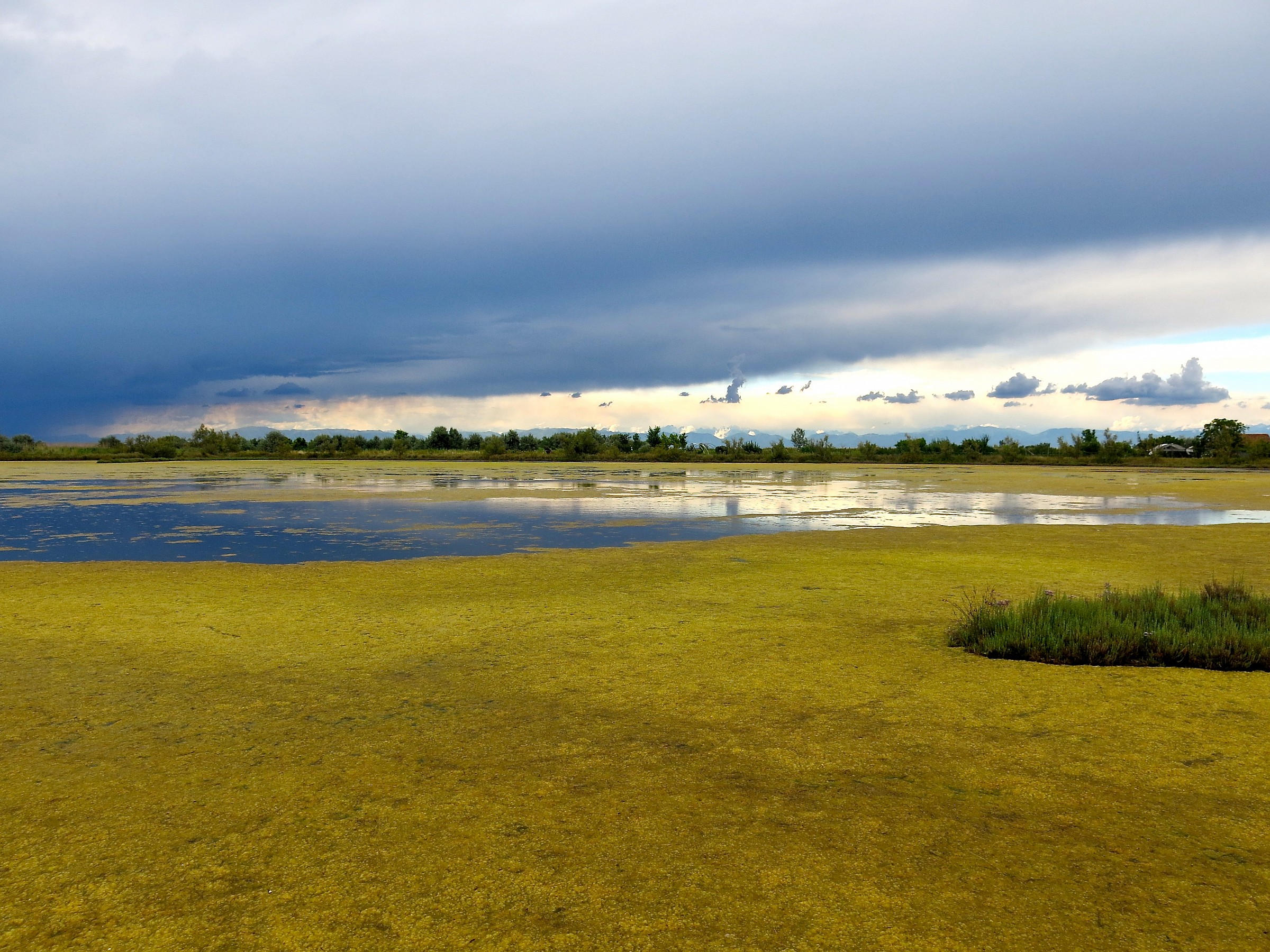 barena, cielo in tempesta