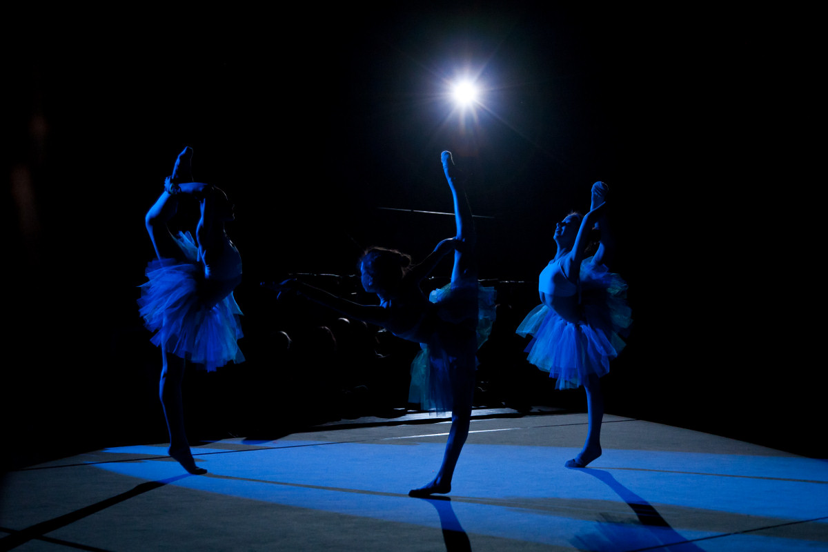 Small Butterflies # 16