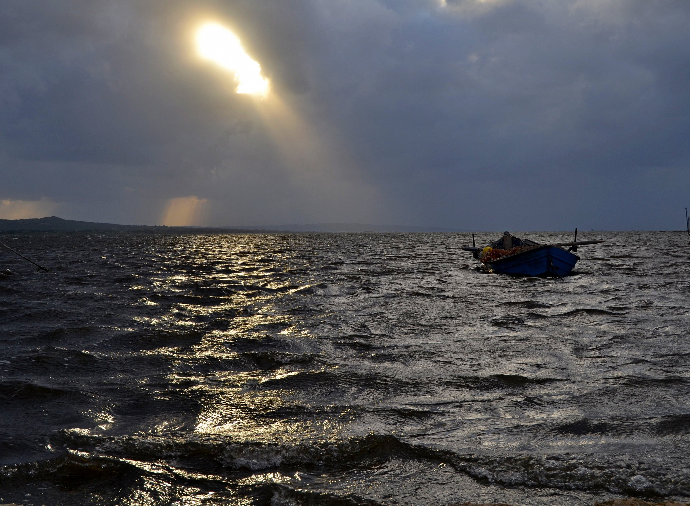 Wind and rain reflections