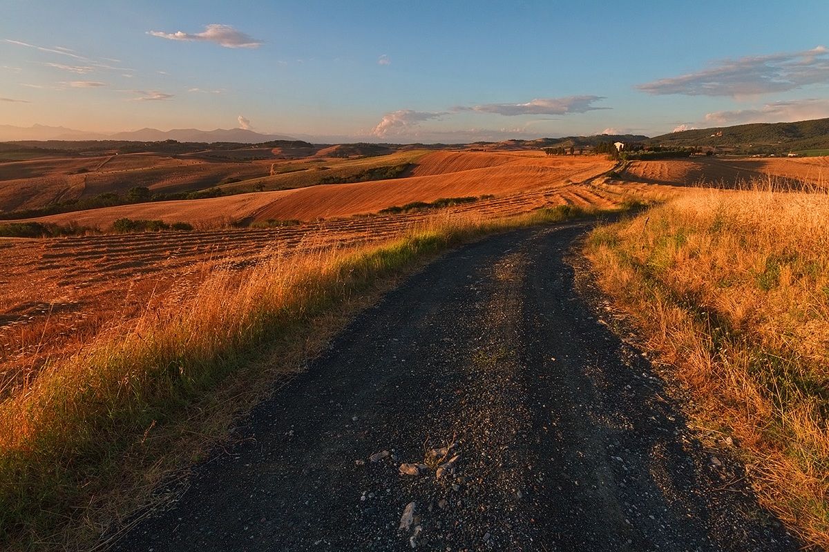 Countryside of Pisa