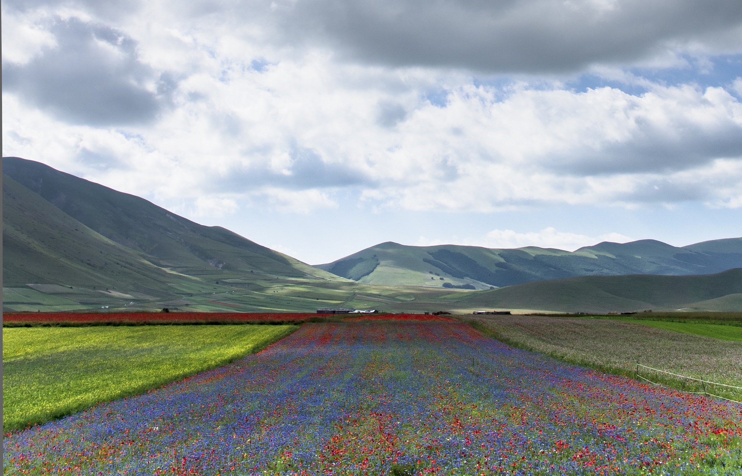 Castelluccio