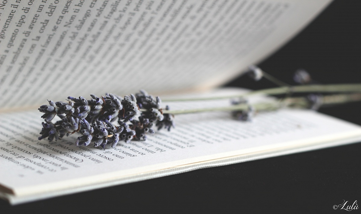 Va' dove ti porta il cuore