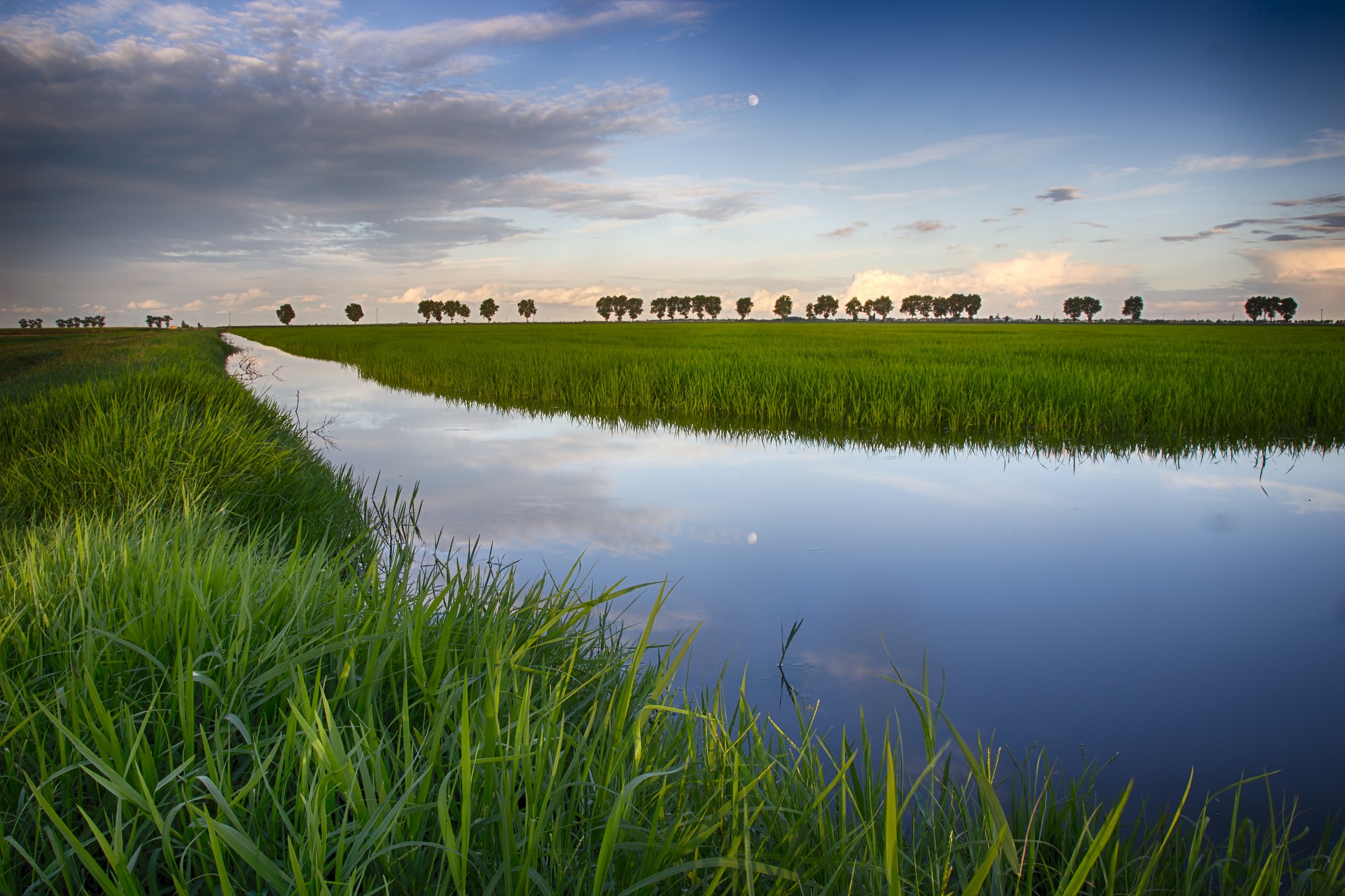 Pianura Padana - Risaia