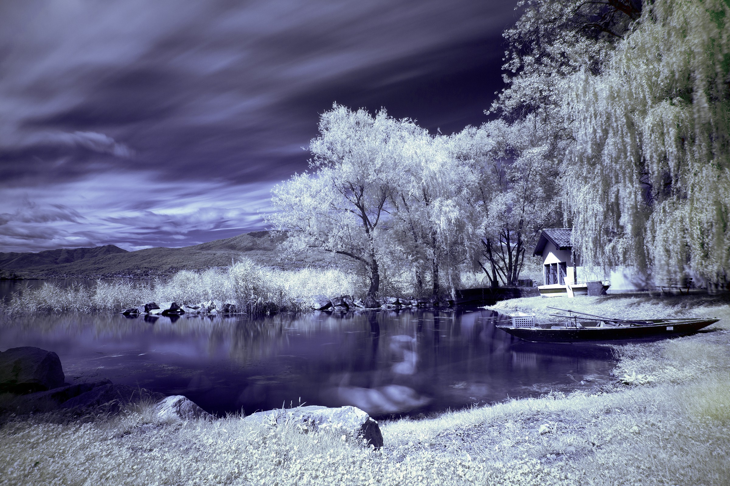 Il lago dei cigni fantasma