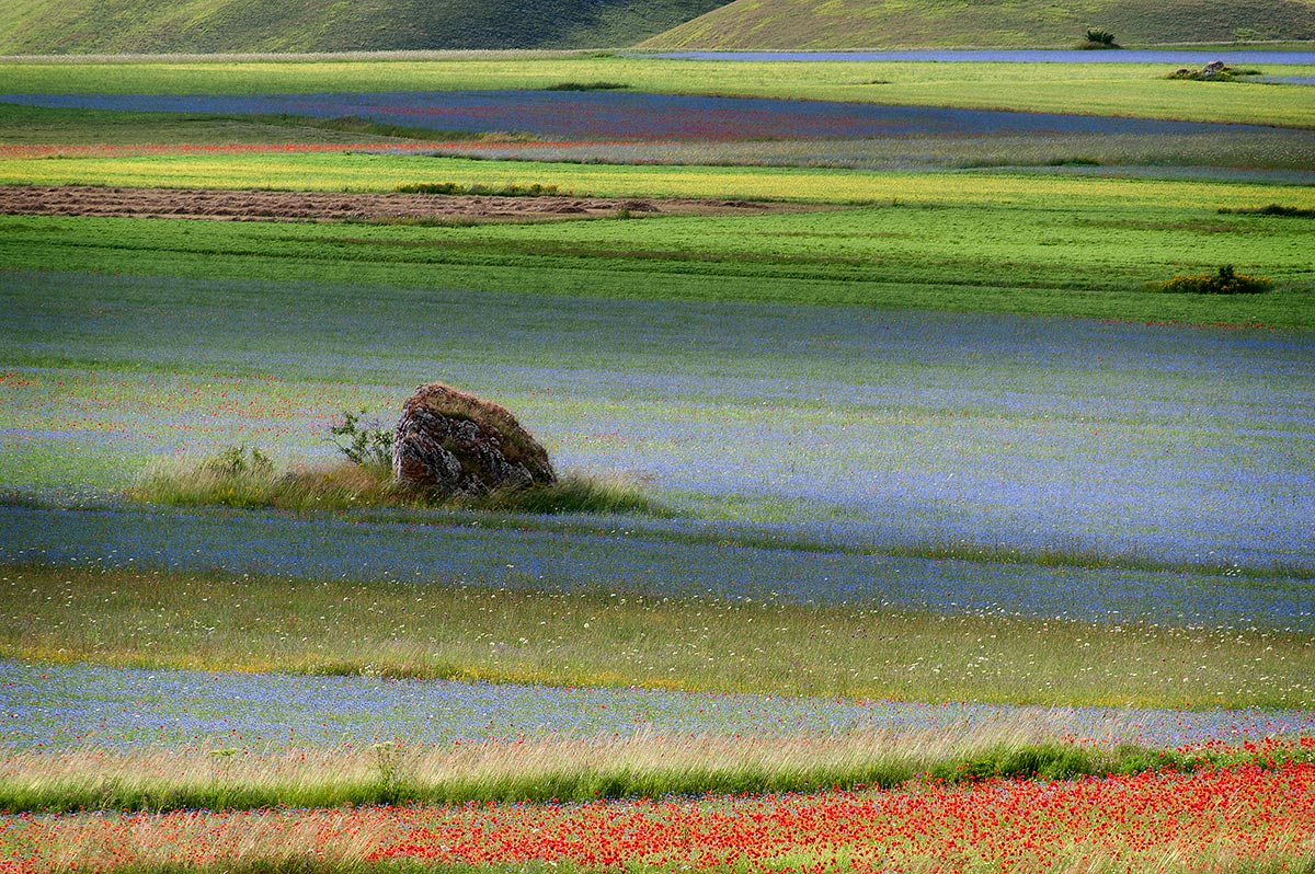 Il mare di Castelluccio