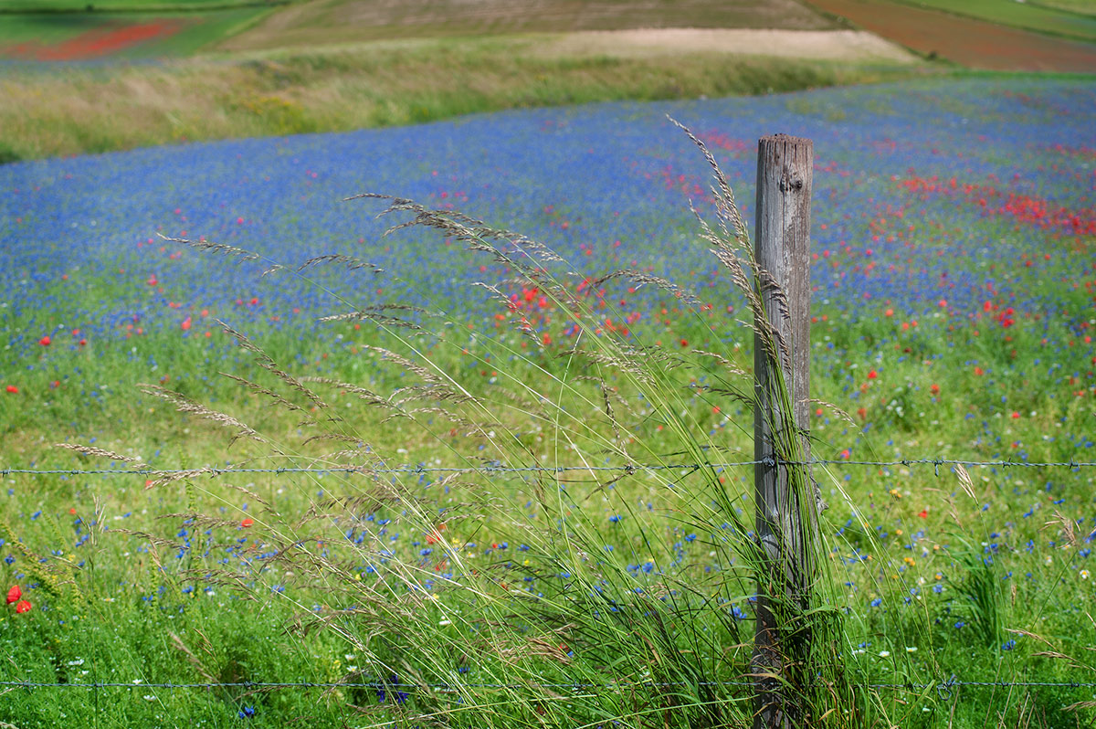 Il mare oltre lo steccato