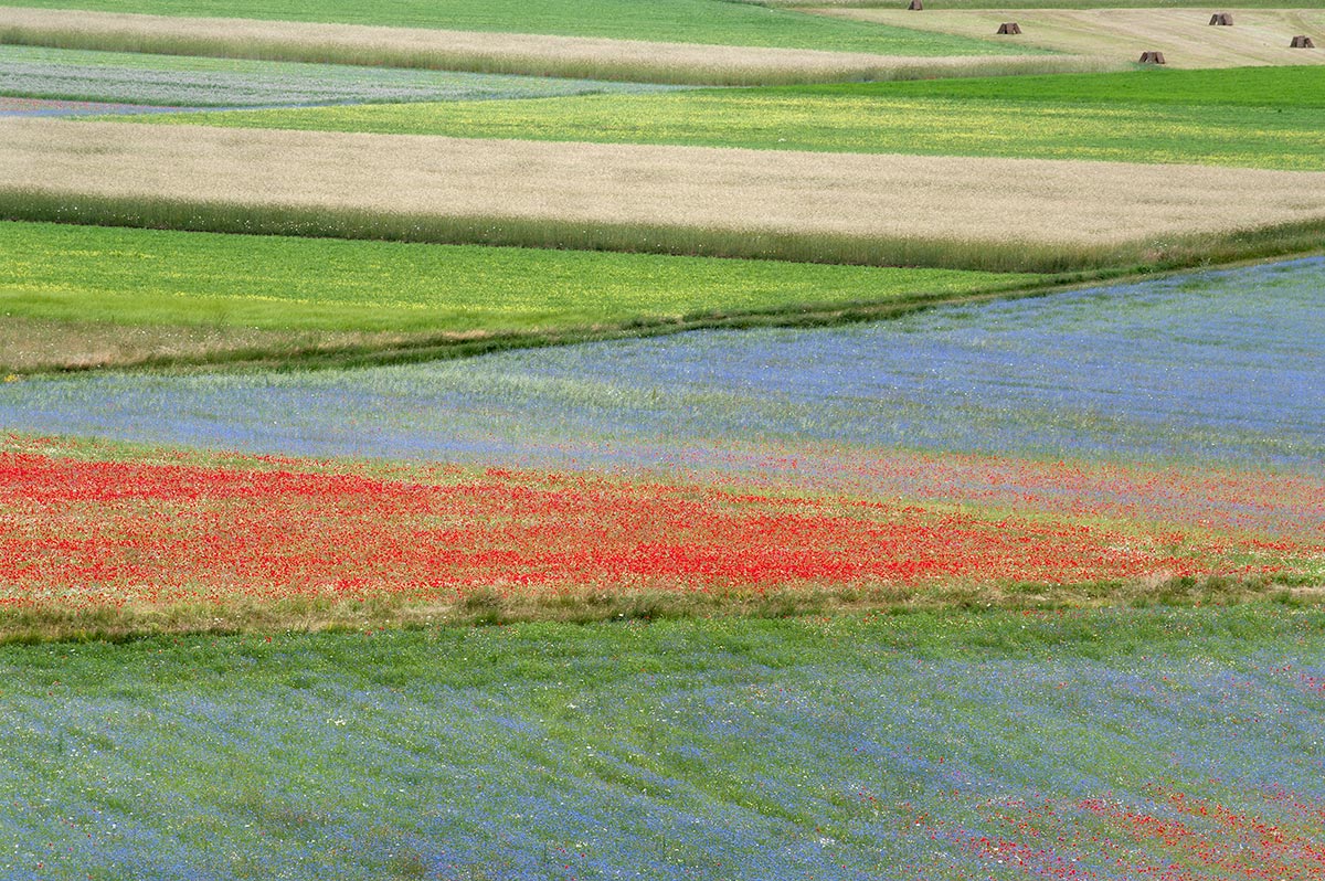 Convergenze di colori