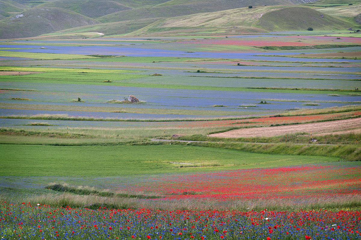 Un sogno ad occhi aperti