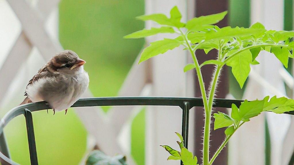 Il relax è fondamentale !!!