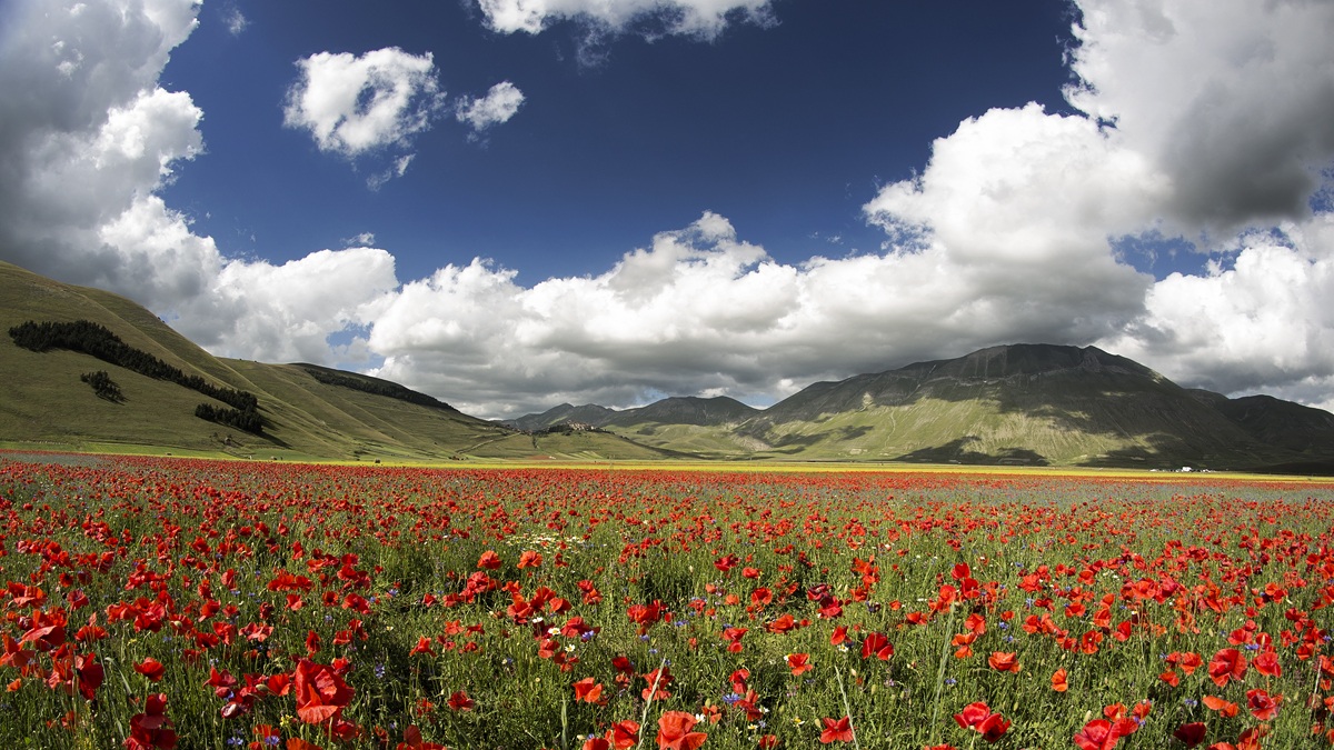 Italia, Castelluccio e Vettore