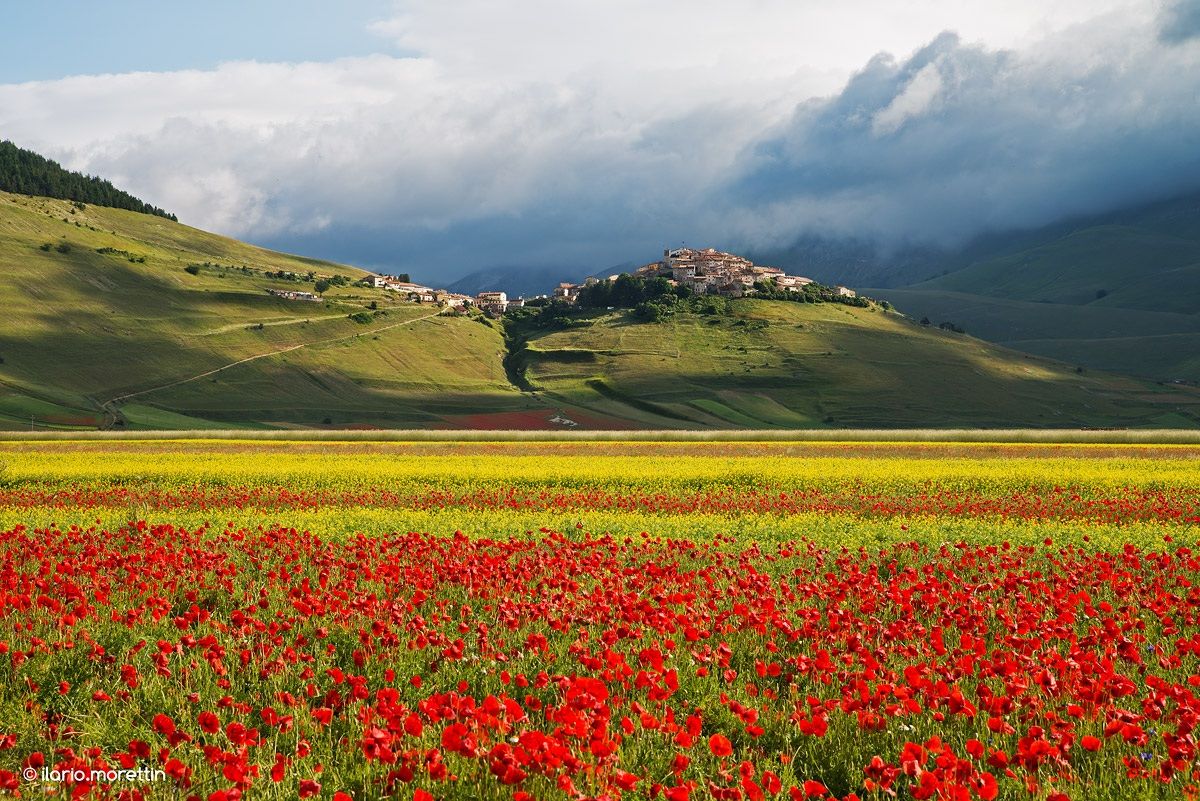 First light on the floor big