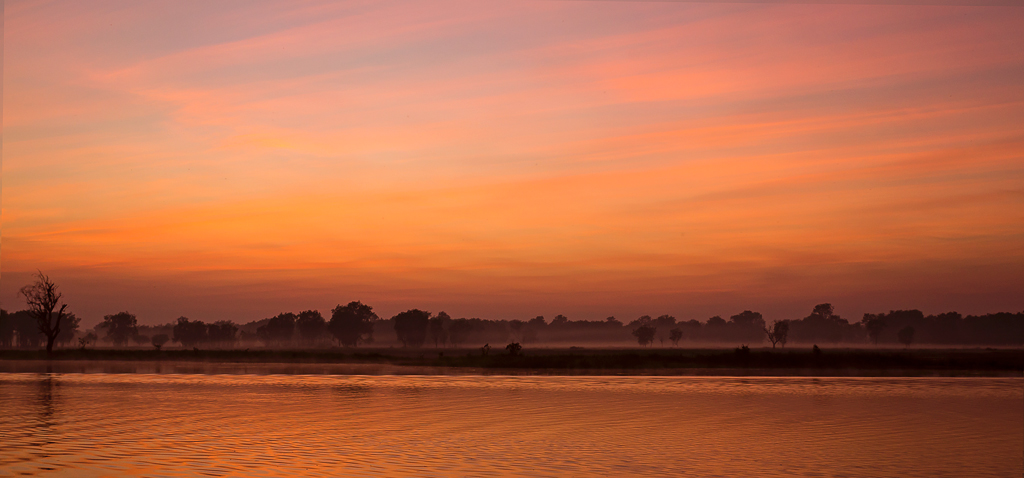 Yellow water eperience