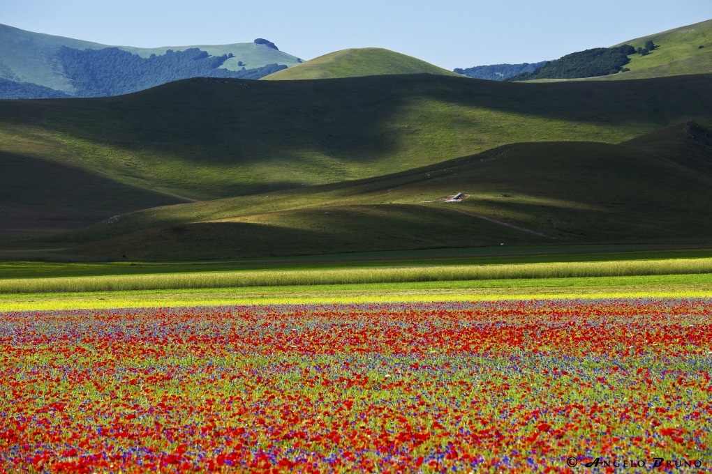 Castelluccio