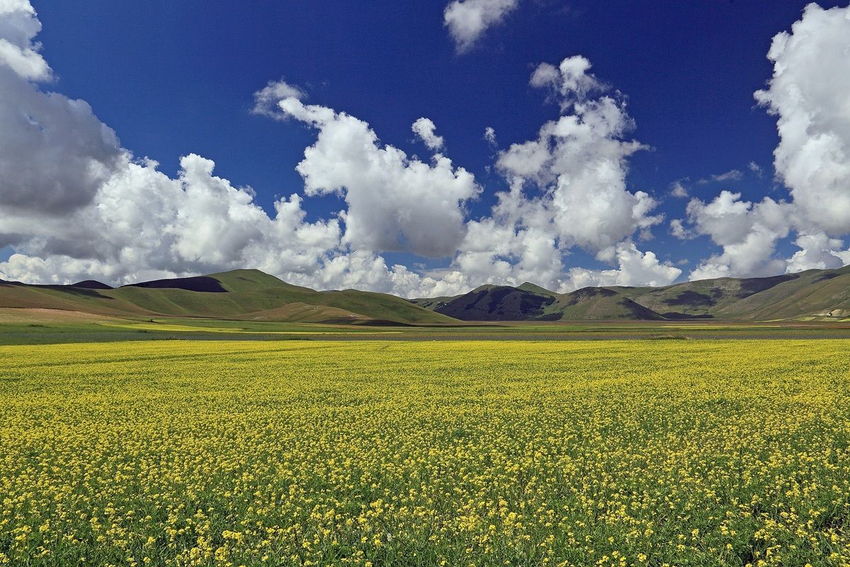 Castelluccio 2014