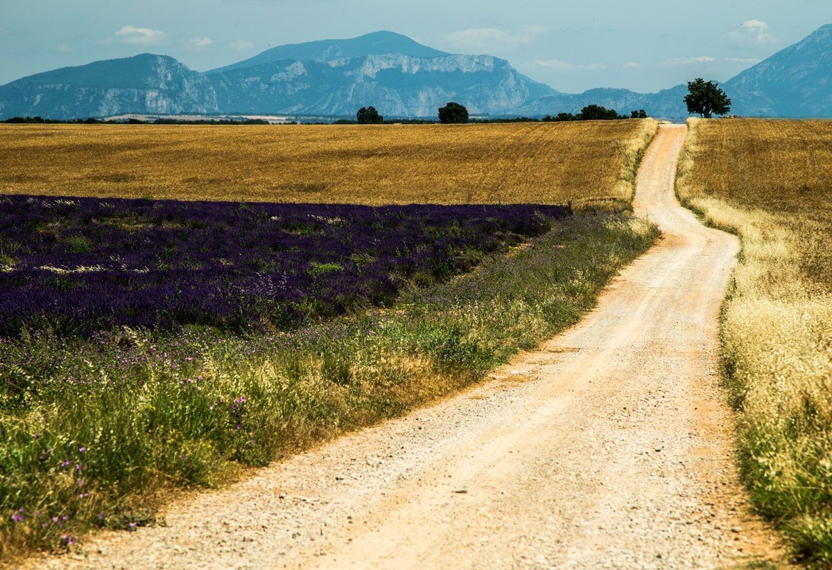 Provenza color pastello