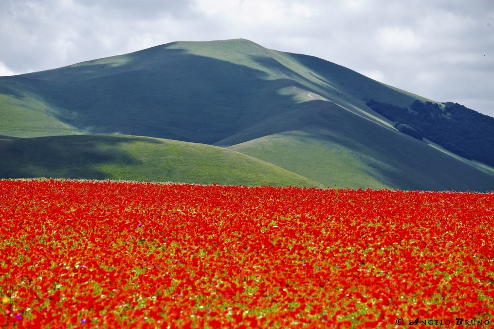 Castelluccio 2