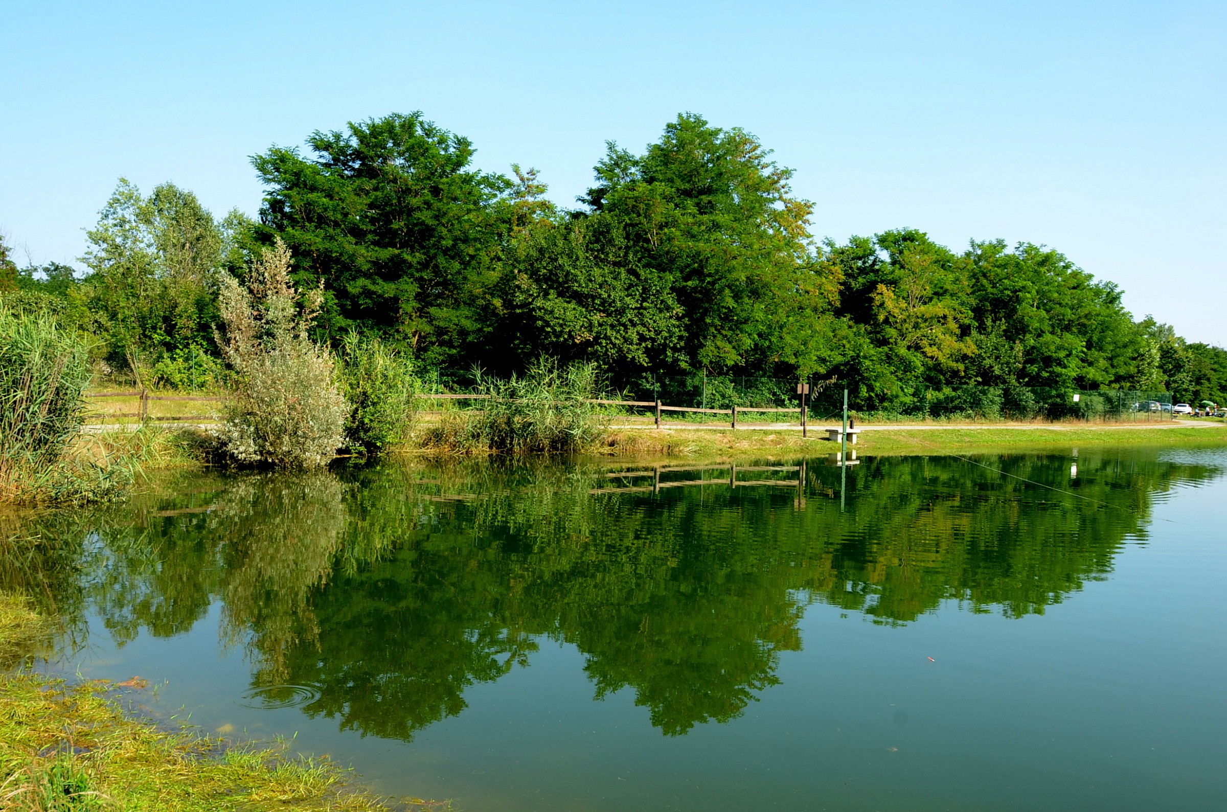 nikon d7000-nikon a-f 18-200 f11 18mm iso 100