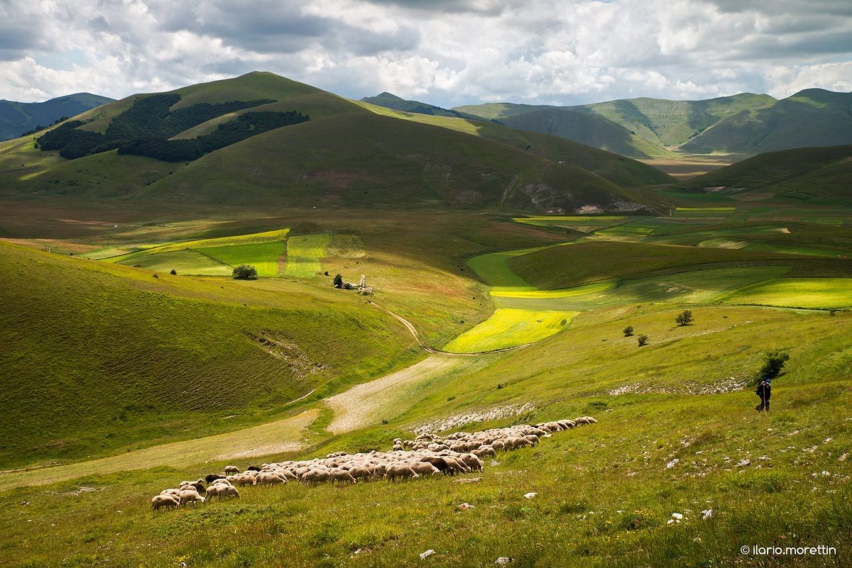 Transhumance in the Sibillini