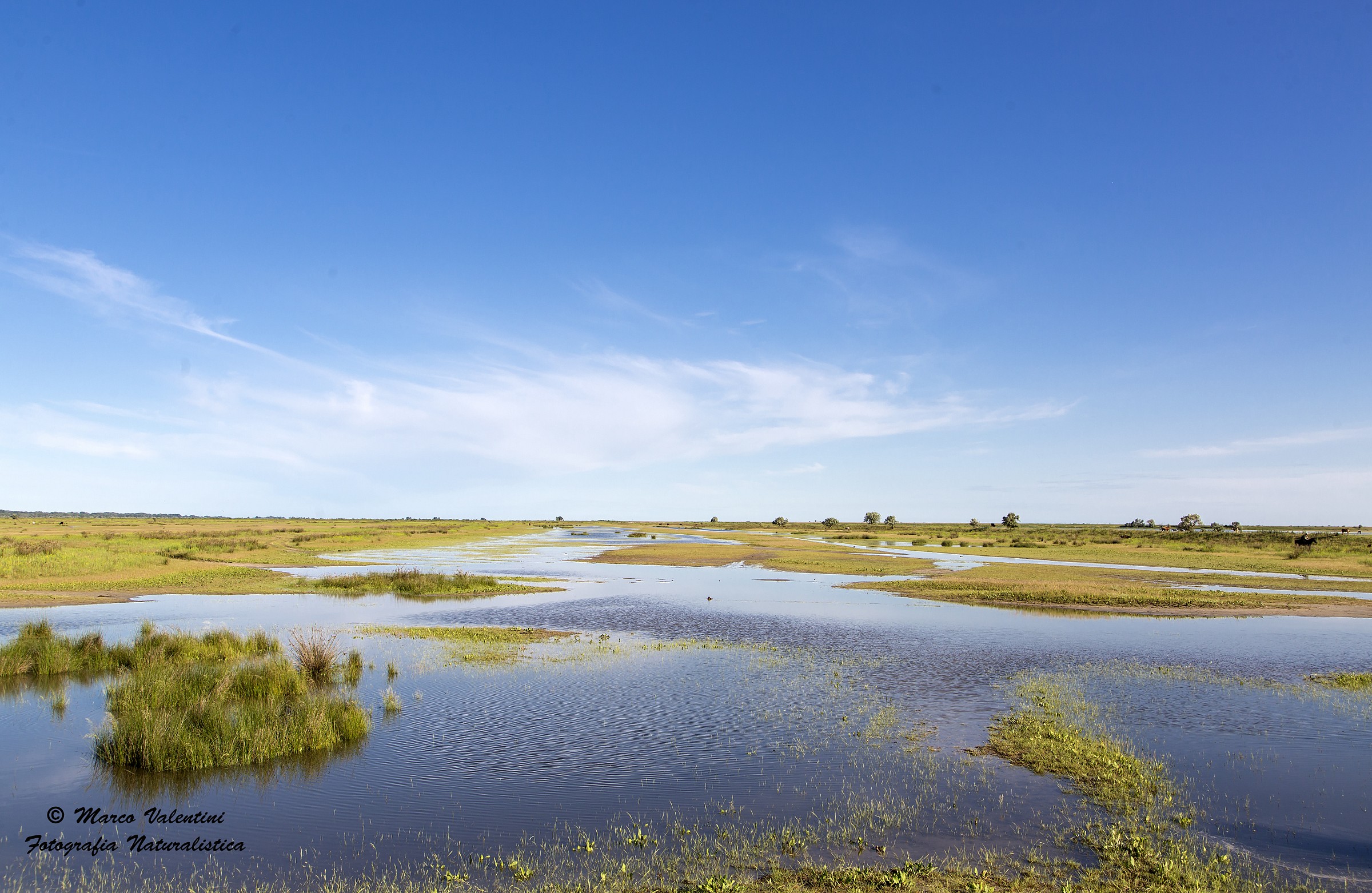 La steppa allagata a Rosetti