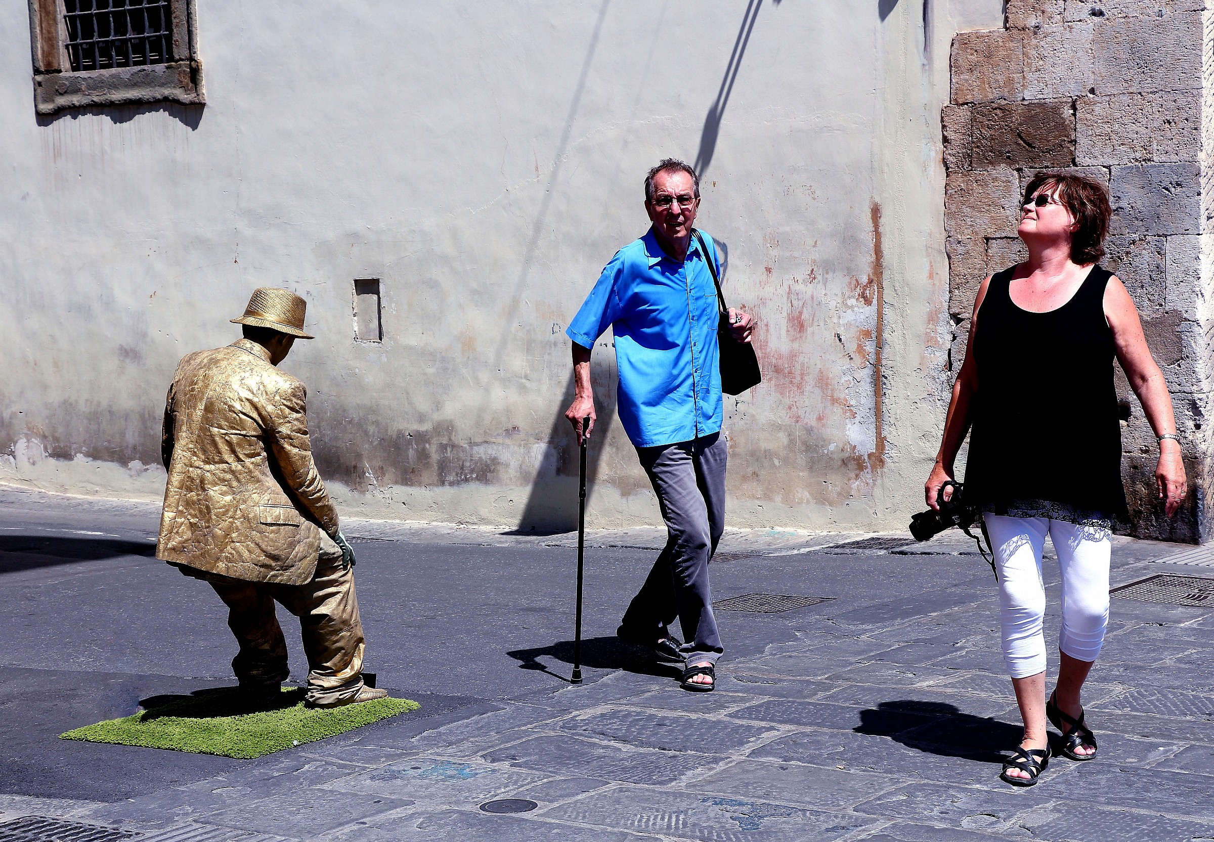 the 'human evolution in three figures