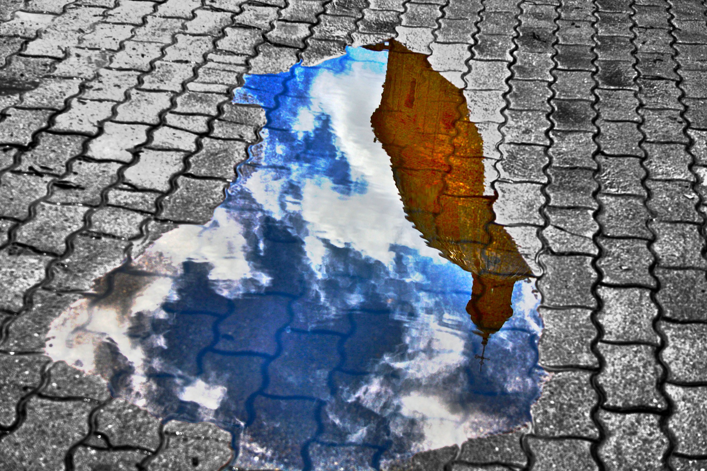 Questione di riflessi