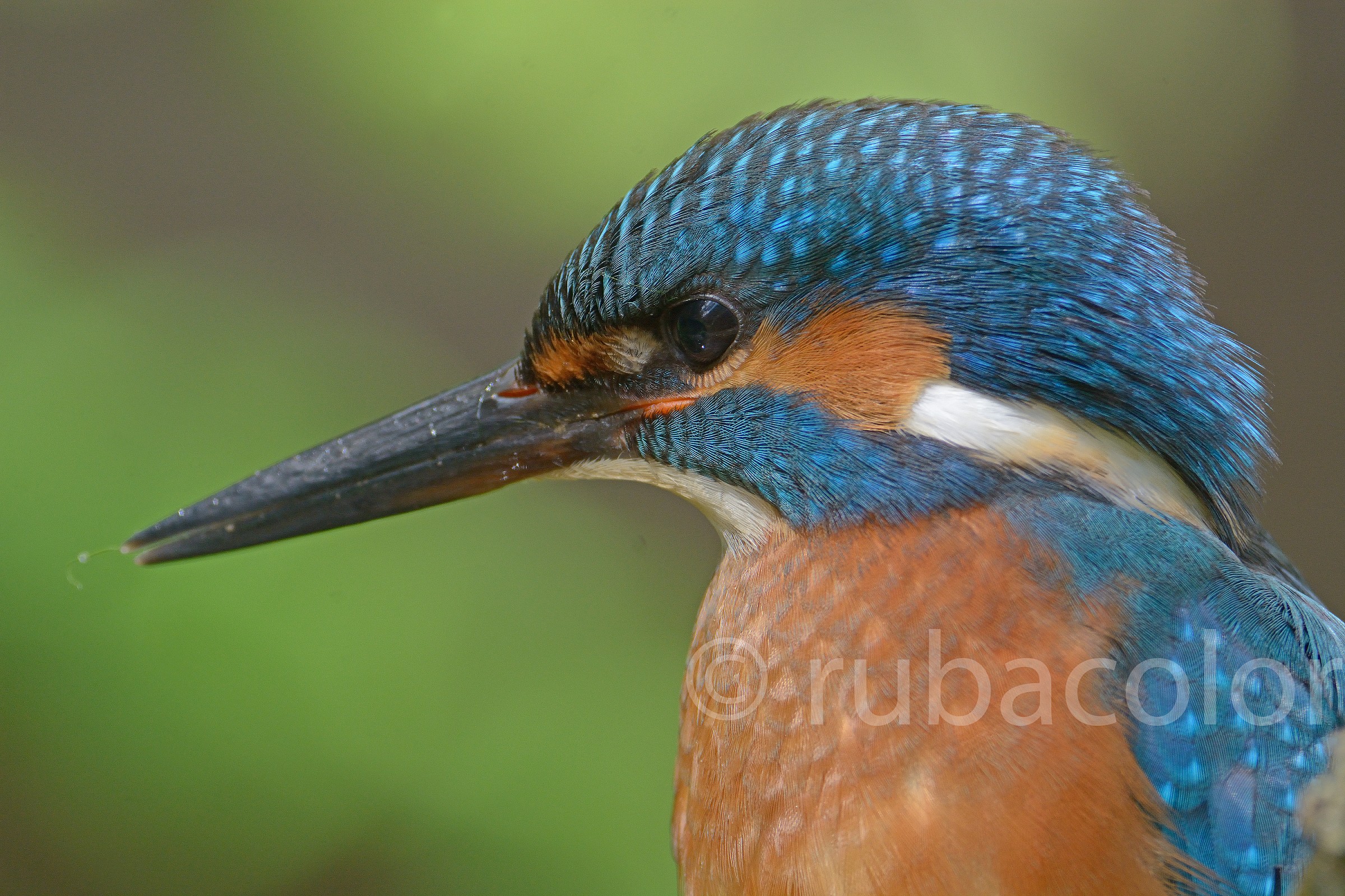 immediately after the make-up