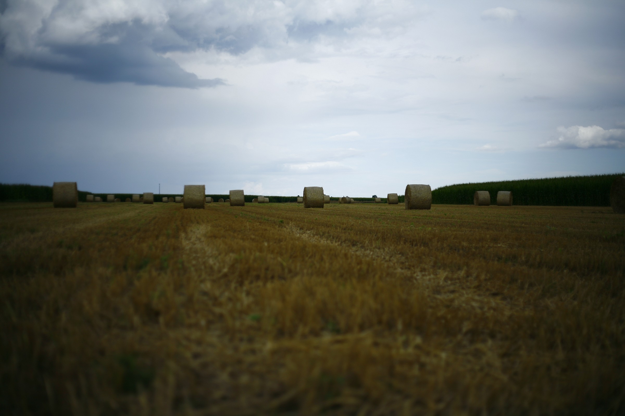 Round bales 3