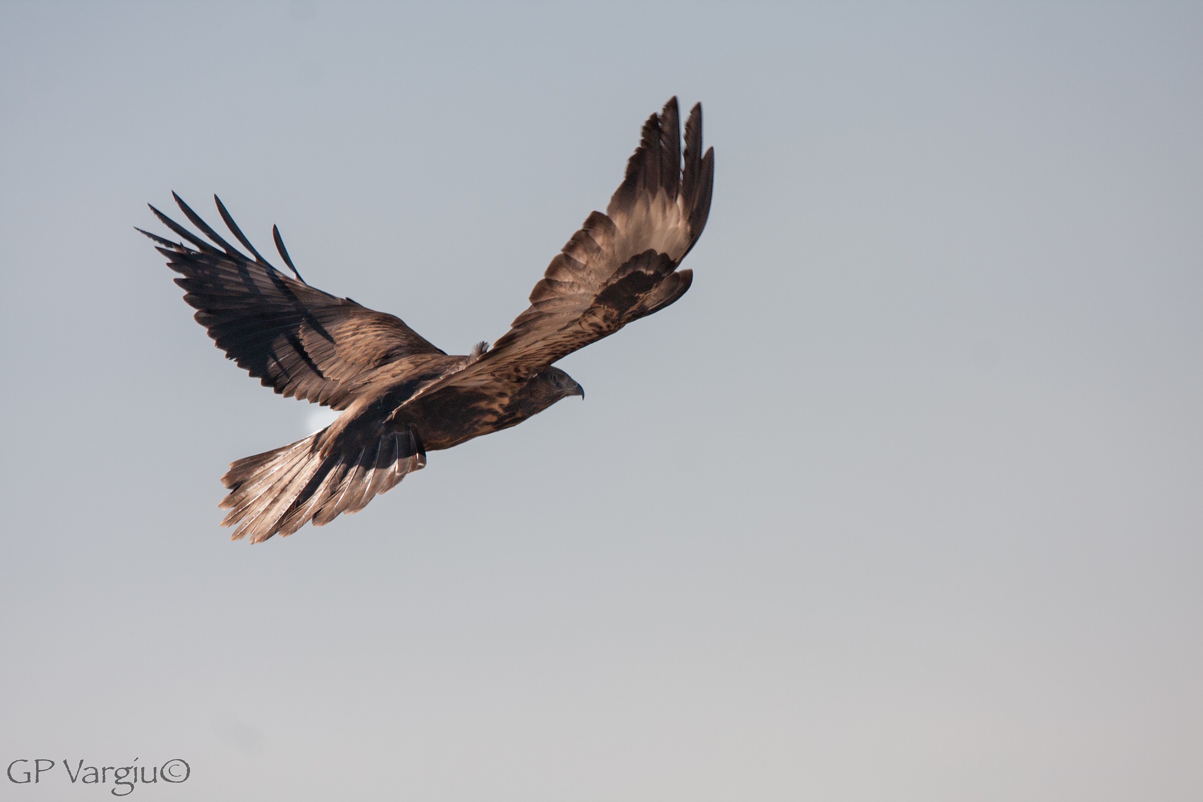 Poiana molto vicina...