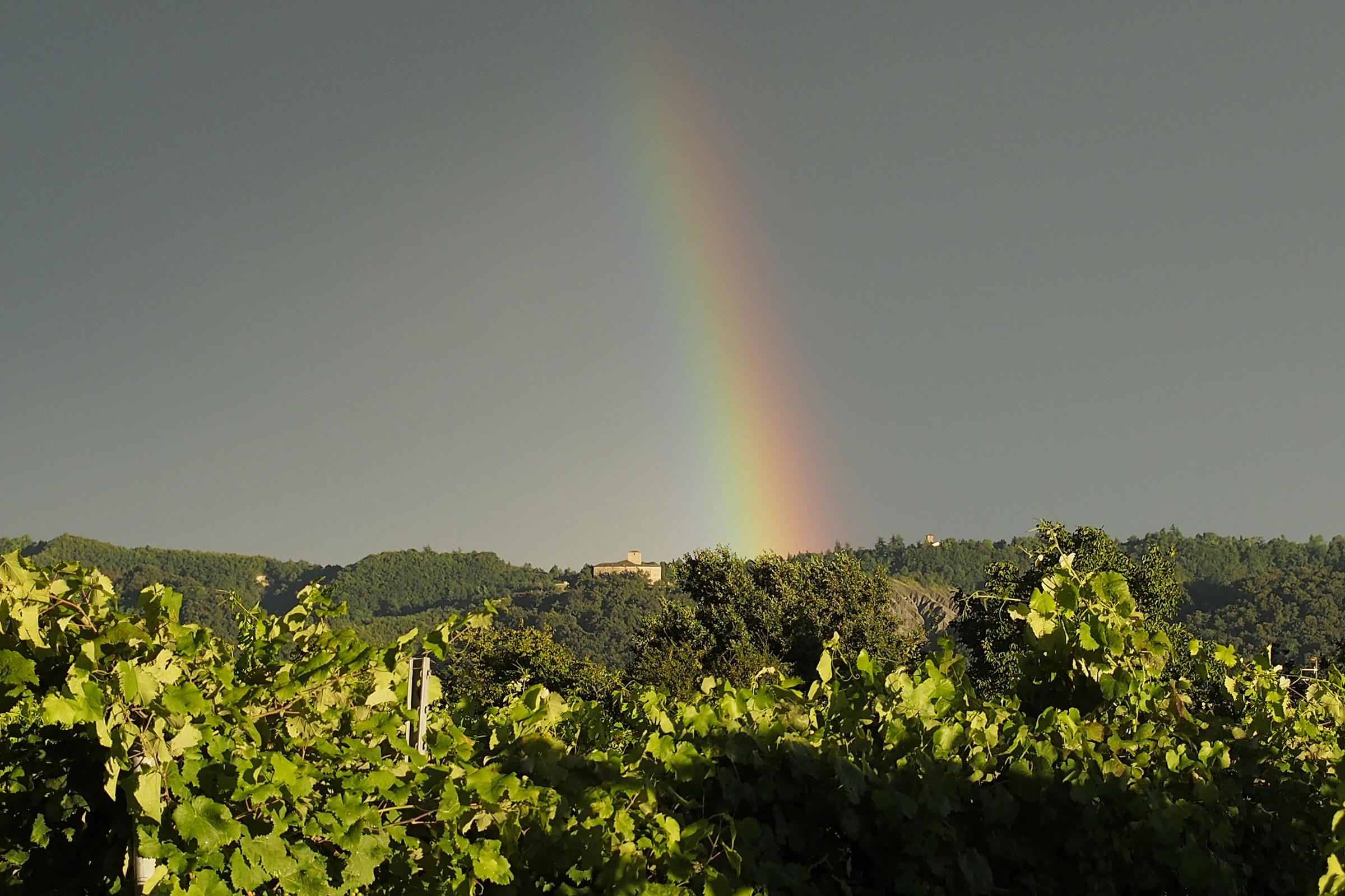 Arcobaleno