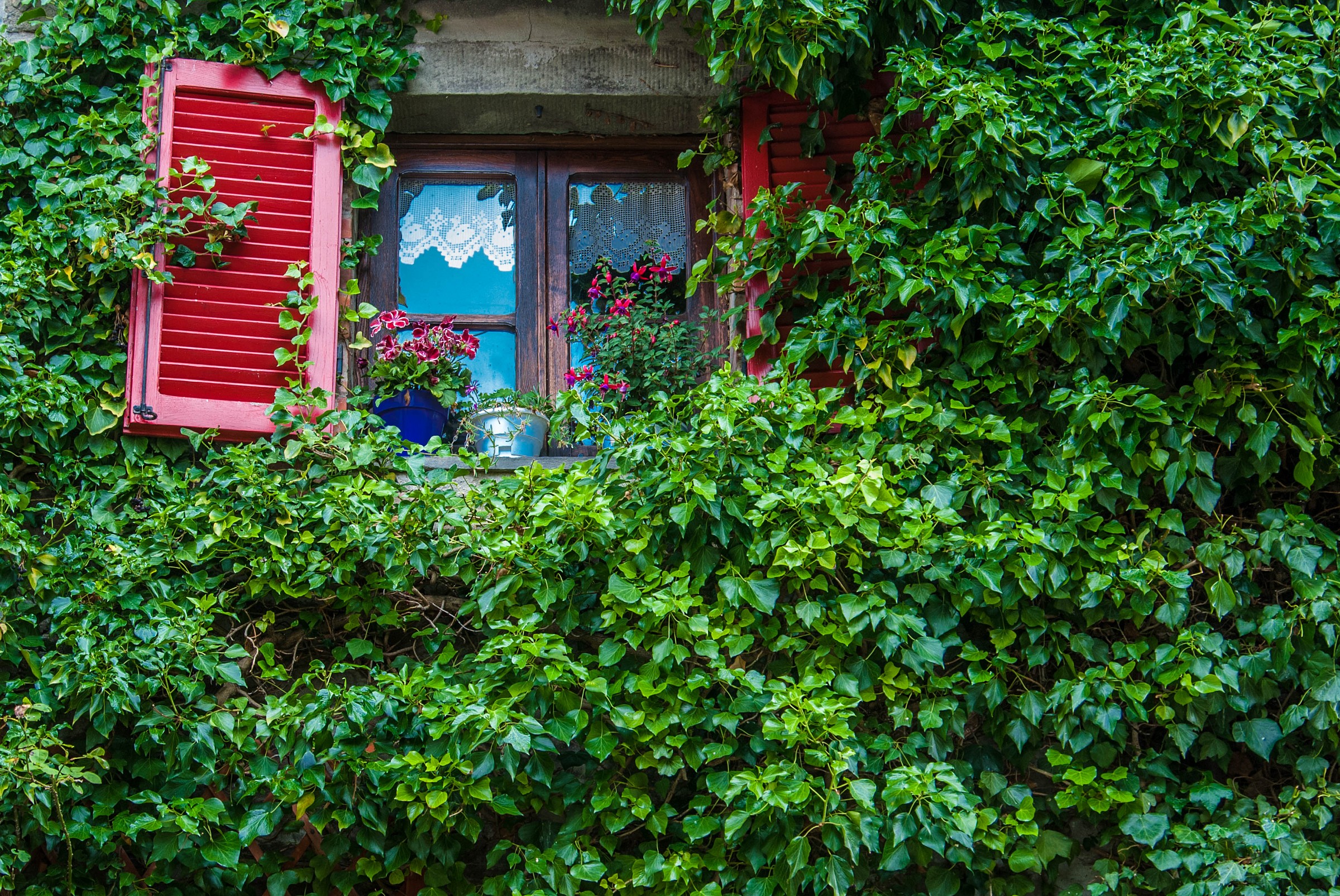 una finestra sul Casentino