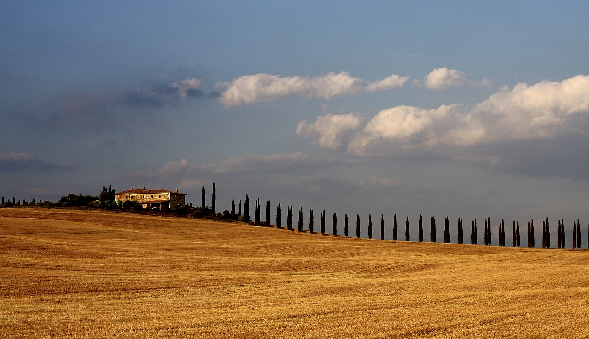 Tuscan Harmony