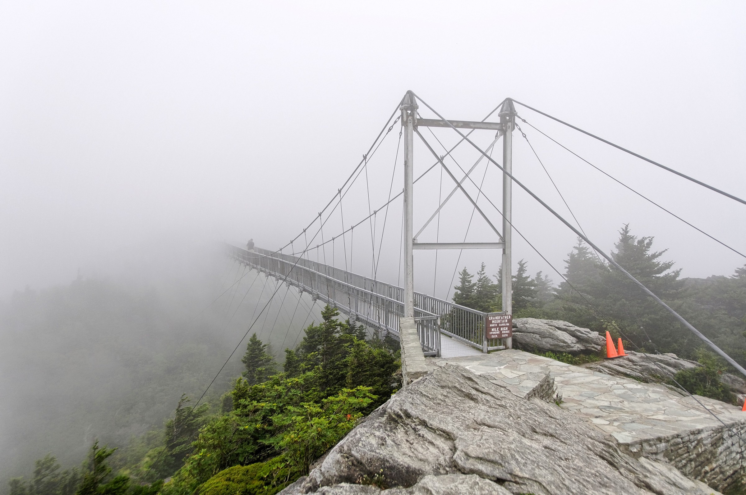 Ponte sospeso a Grand Father Mountain